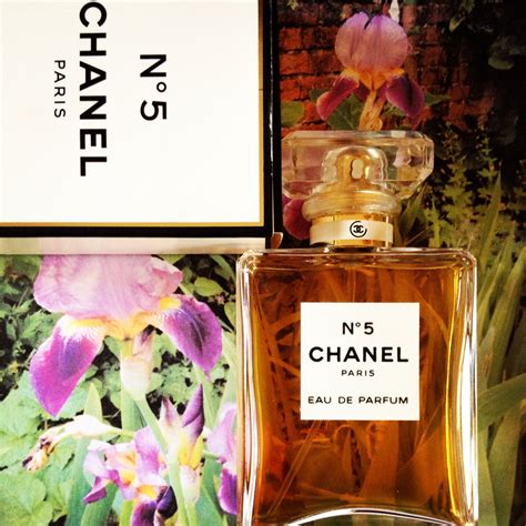 chanel 5 note|chanel no 5 scent notes.